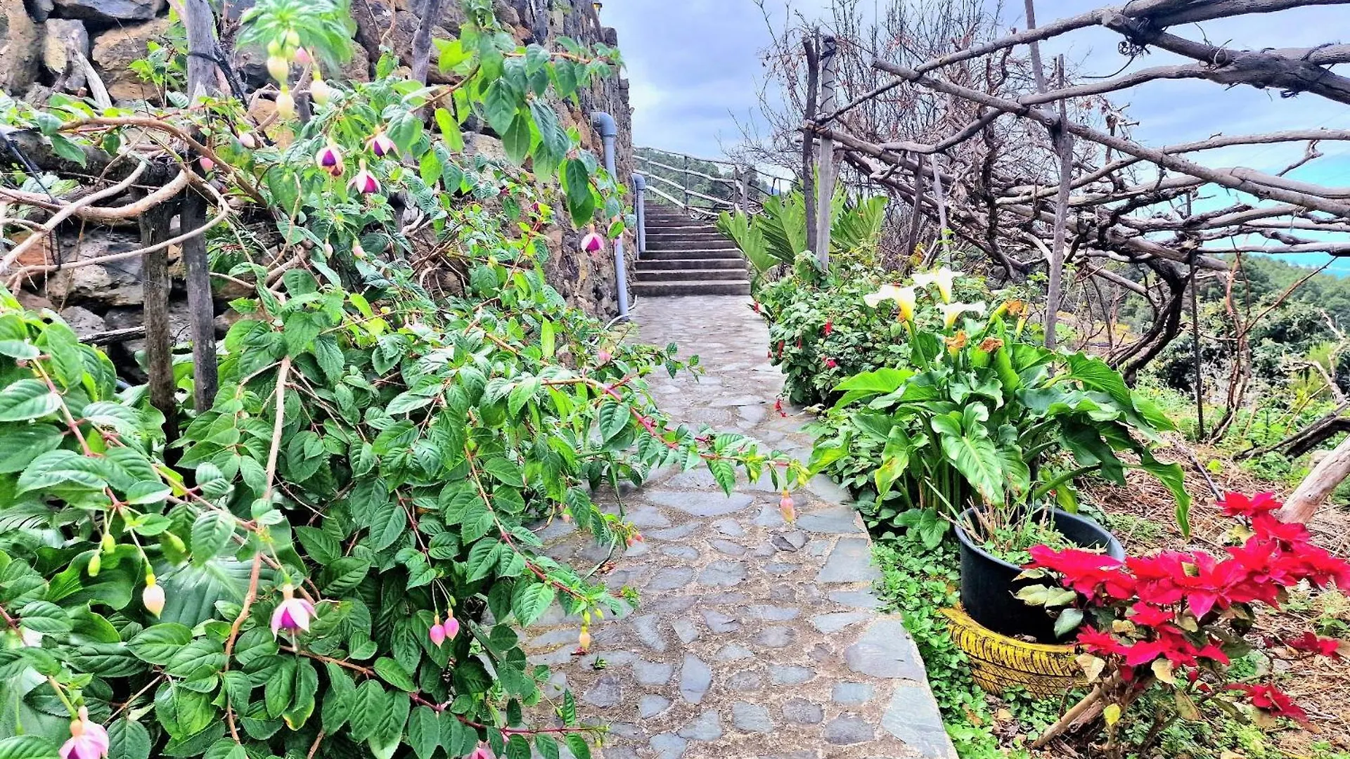בית נופש Casa Rural Teide In Icod De Los Vinos By Hrtenerife Net